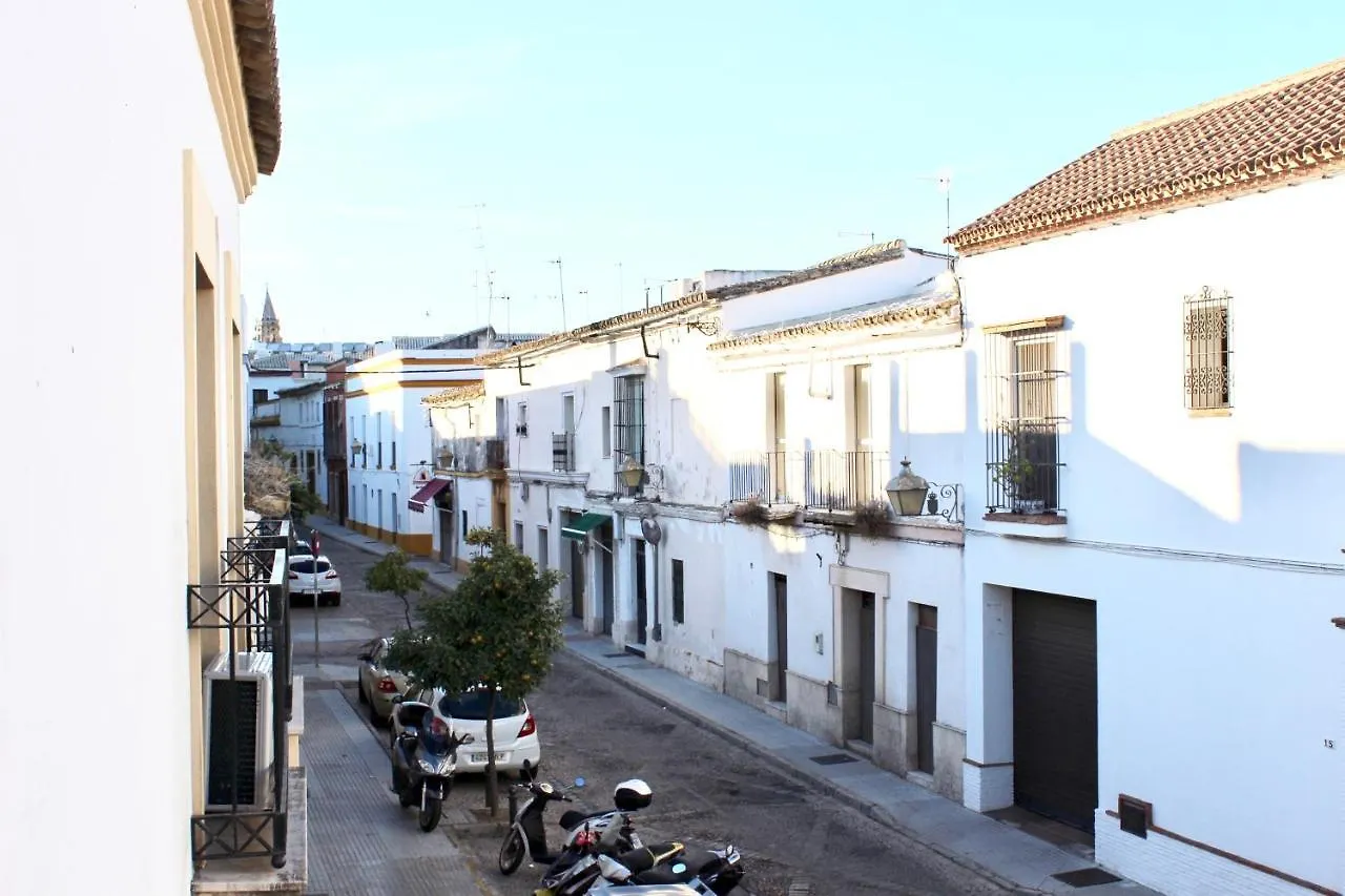 City Center And Free Parking Apartment Jerez de la Frontera Spain